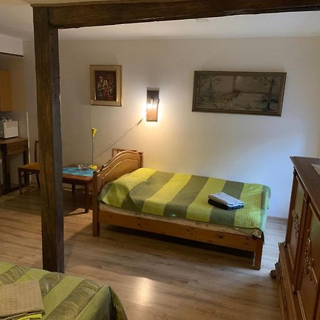 Delta 4 Nice Apartment 2 Big Bed Tartu Dış mekan fotoğraf